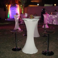 PARTIES & FUNCTIONS . 2007 - BUDDHA BAR PARTY 2.