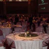 CORPORATE EVENTS. 2008-blossom-trading-20th-anniversary-celebrations 3
