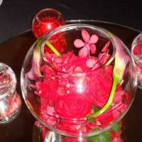 CORPORATE EVENT 3. 2008 - RUWAAD LAUNCH 3.