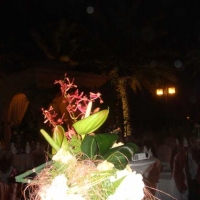 PARTIES & FUNCTIONS.  2009 -EMIRATES HILLS  30th ANNIVERSARY 1.