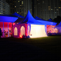 CORPORATE EVENTS 2009-new-years-eve-celebrations-ritz-carlton-6