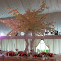 wedding-dubai-596