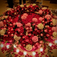 wedding-dubai-598
