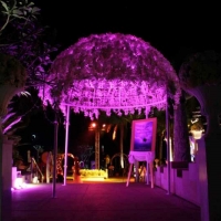 destination-wedding-dubai-121