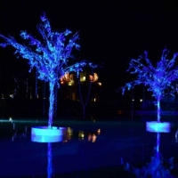 destination-wedding-dubai-126