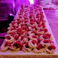 wedding-dubai-622