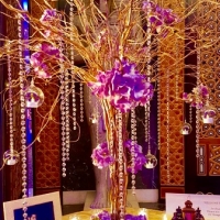 indian-wedding-dubai-680