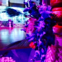 wedding-planner-dubai-605