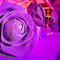 weddings-dubai-298