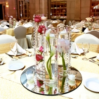 weddings-dubai-204