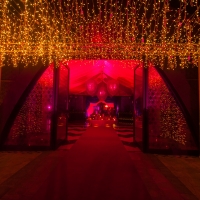 wedding-planner-dubai-345