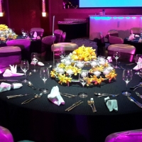 wedding-dubai-383