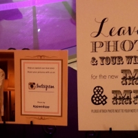 wedding-dubai-384