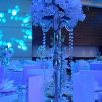 weddings-dubai-429