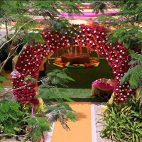 weddings-dubai-458