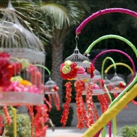 weddings-dubai-459