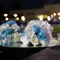 indian-wedding-dubai-479
