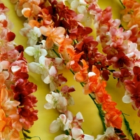 wedding-planner-dubai-484