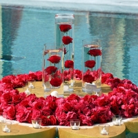 wedding-planner-dubai-489