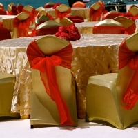 wedding-planner-dubai-491