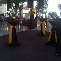 CORPORATE EVENT. WU Awarding Ceremony, Dubai 2.